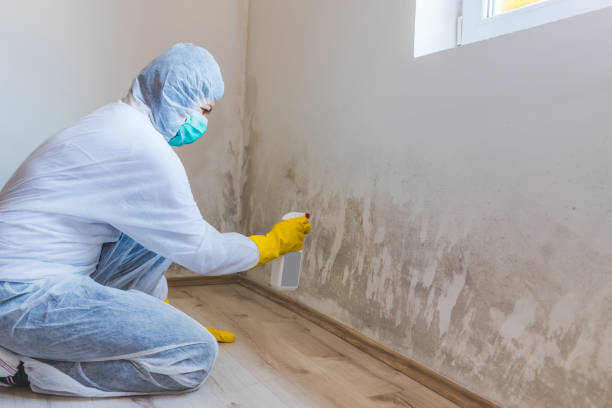 Best Forensic Mold Investigation  in Mansfield Center, CT