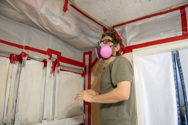 Reliable Mansfield Center, CT Mold Removal Solutions