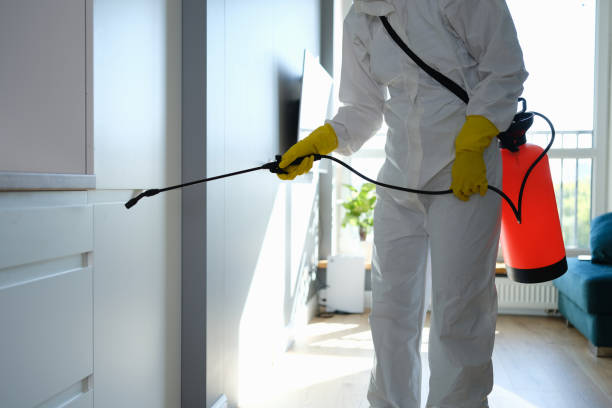 Mold Documentation for Insurance Claims in Mansfield Center, CT