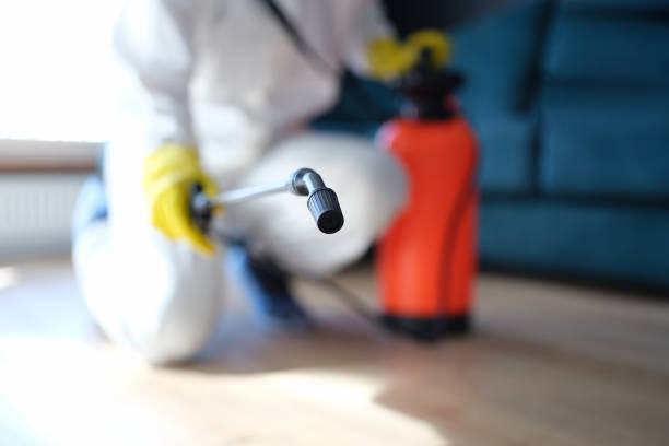 Best Mold Remediation for Healthcare Facilities  in Mansfield Center, CT